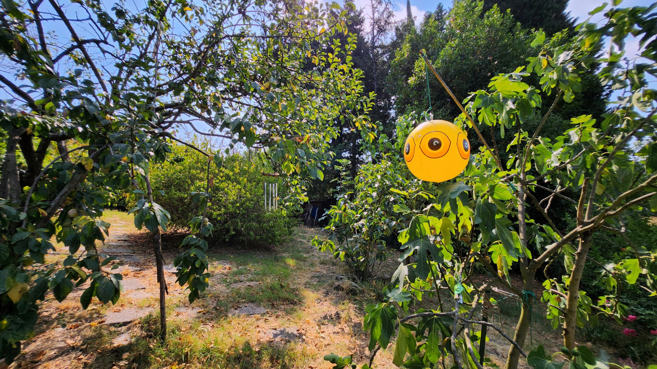 Terratetto con giardino località Olmo Fiesole